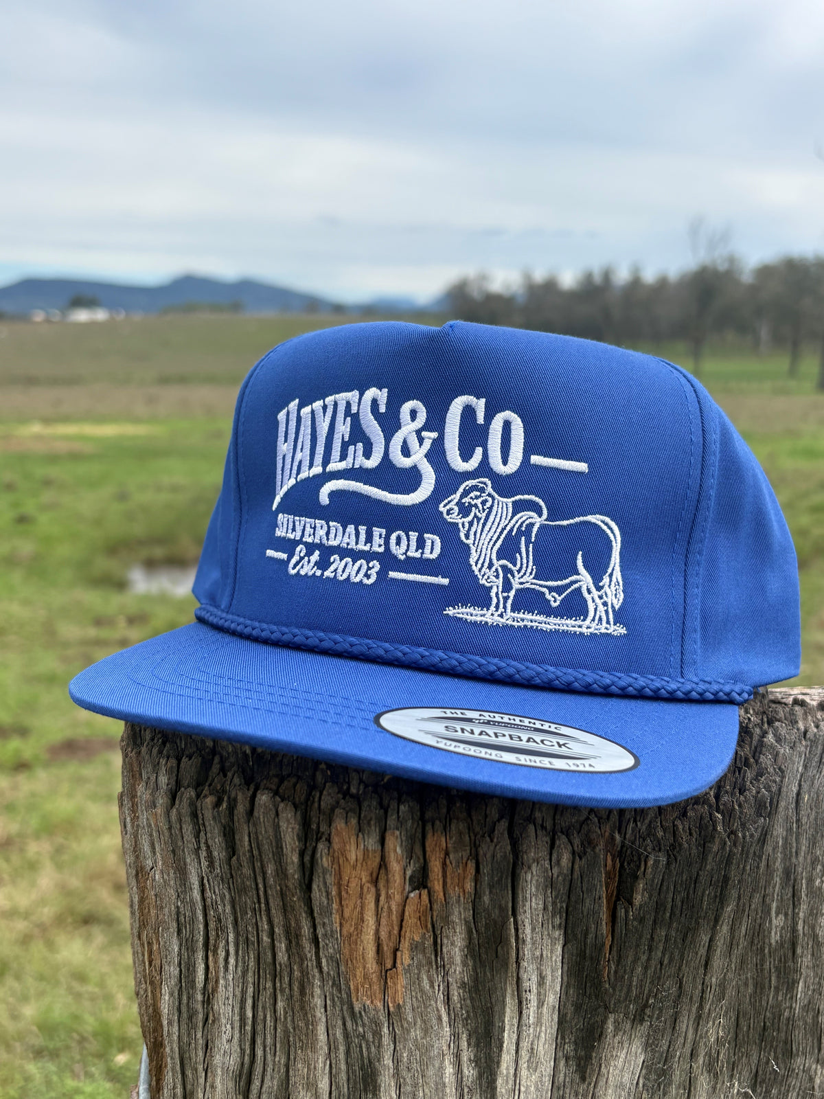 Hayes and Co Rope Cap - Royal