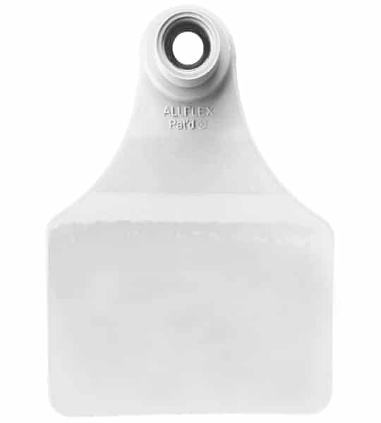 Allflex Female Large White