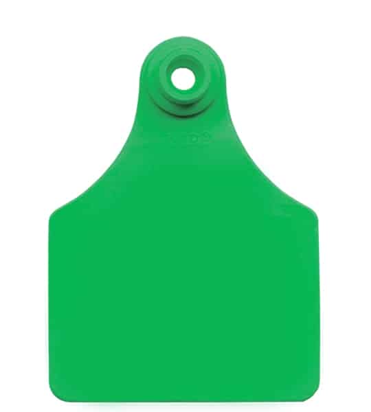 Allflex Maxi Female Green