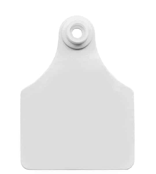 Allflex Maxi Female White