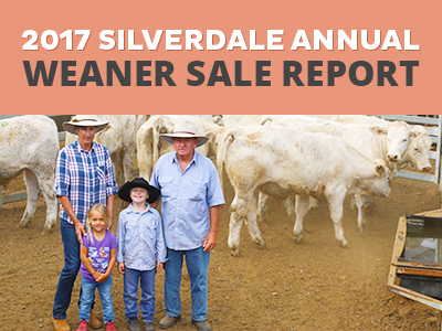 Record Breaking 2017 Silverdale Annual Weaner Sale