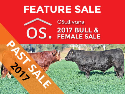 OS Limousin 2017 Bull & Female Sale
