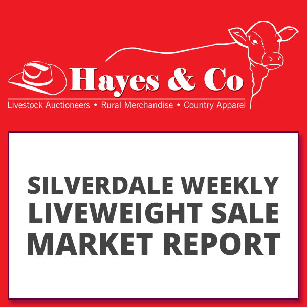 Silverdale Liveweight Sale report