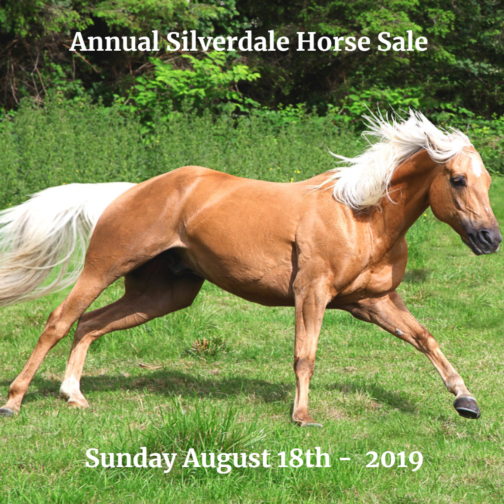 Annual Silverdale Horse Sale