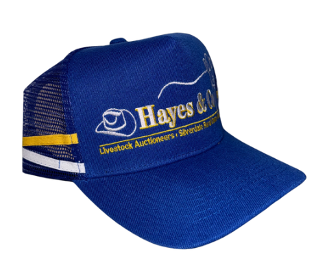 Blue Country Trucker Cap