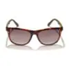 Gidgee - Fender Tort Sunglasses