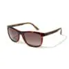 Gidgee - Fender Tort Sunglasses - Image 2