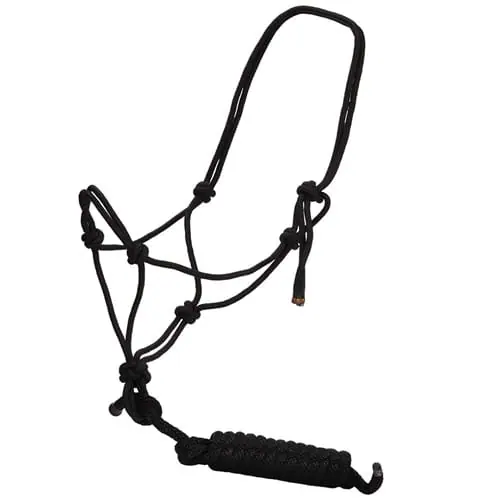 Rope Halter w/Lead Black 10'