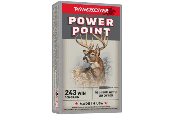 Winchester Super X 243Win 100gr PSP
