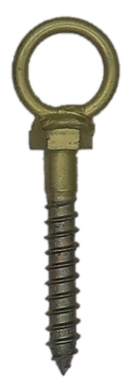 Coach Eye Screw