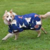 Dog Coat Thermo Master Navy Cow 16"/41 cm - Image 2