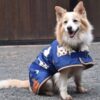 Dog Coat Thermo Master Navy Cow 16"/41 cm