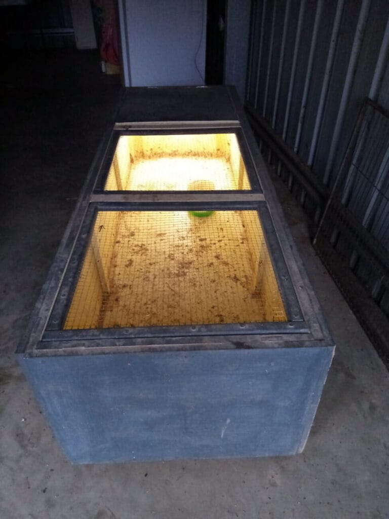 Chicken brooder (1)