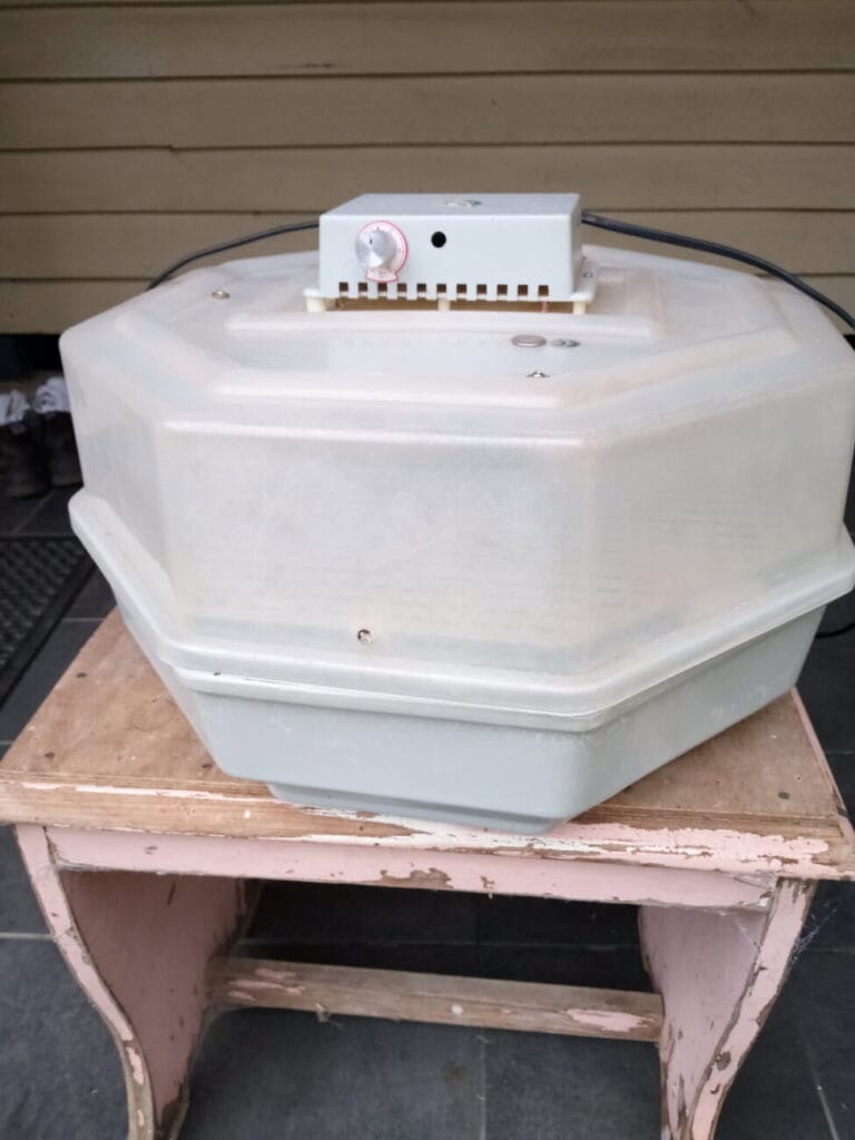 Incubator (2)