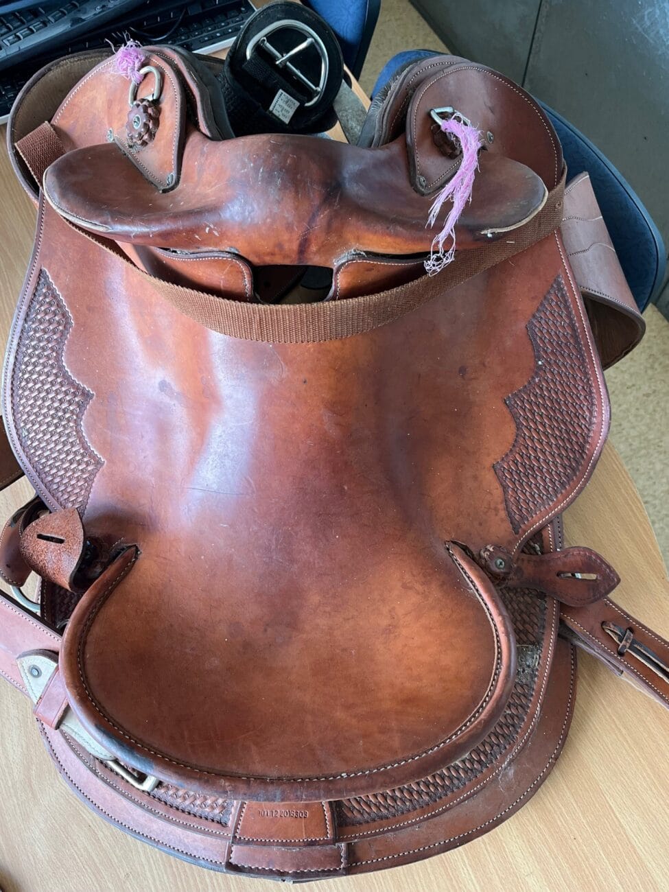 Saddle - Horselines Serpentine